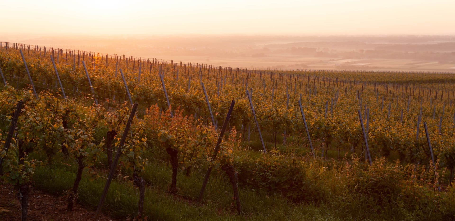 Escapade Champagne : Reims & Épernay